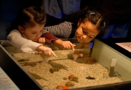 sisters in a museum