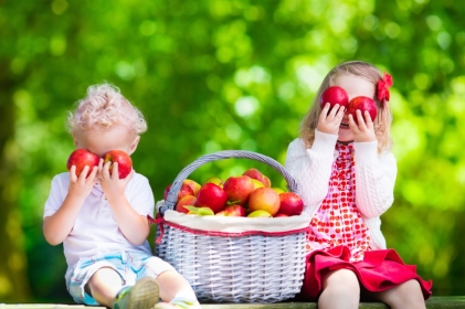 Child picking apples on a farm in autumn. Little girl and boy playing in apple tree orchard. Kids pick fruit in a basket. Toddler eating fruits at harvest. Outdoor fun for children. Healthy nutrition.