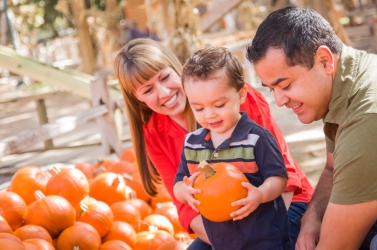 Happy Mixed Race Family Picking Pumpkins at the Pumpkin Patch.