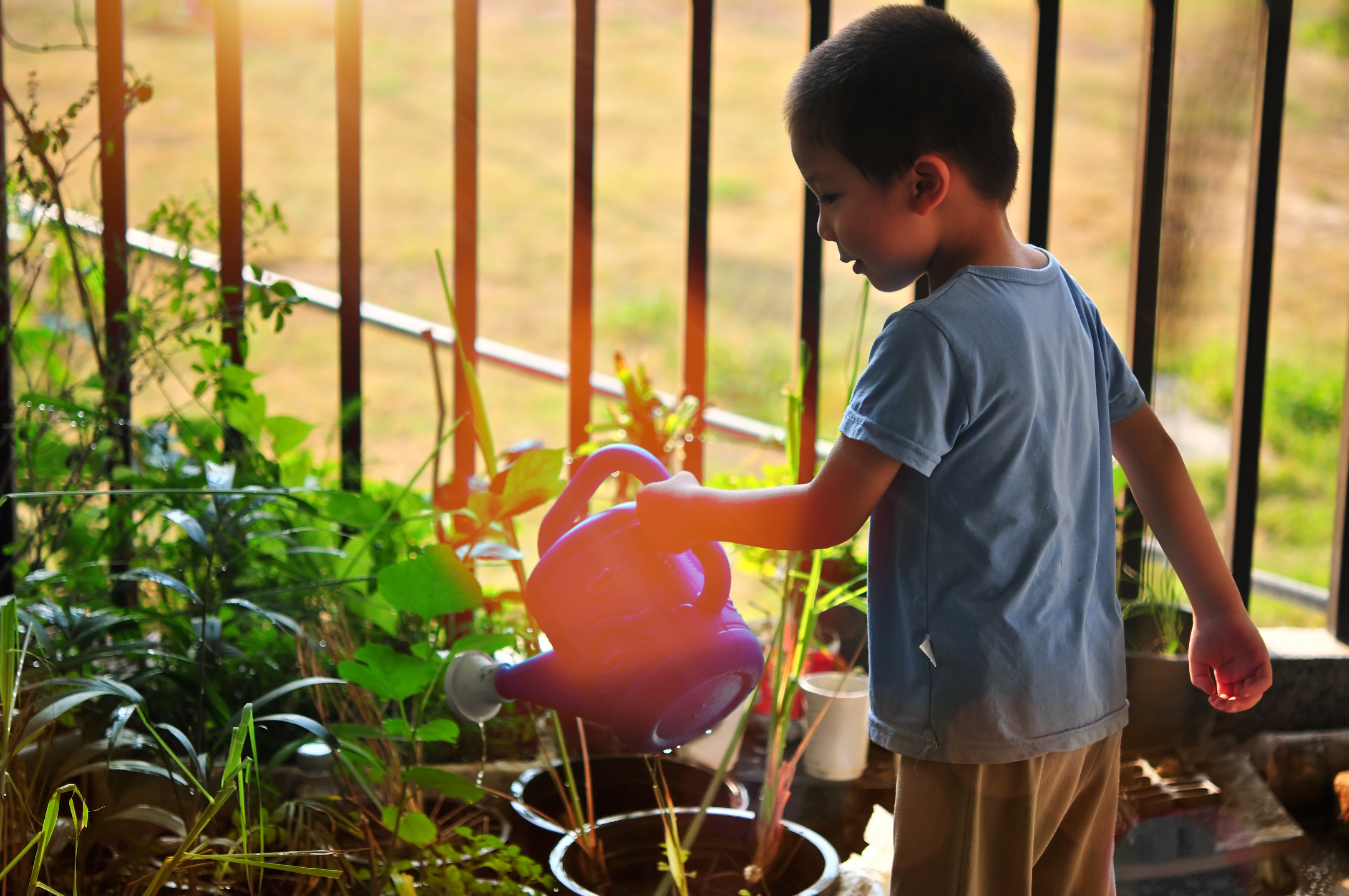 Boy in Garden