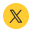x-icon